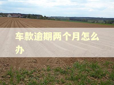 车款逾期两个月怎么办