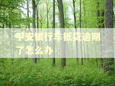 平安银行车抵贷逾期了怎么办