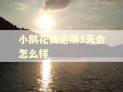 小鹅花钱逾期3天会怎么样 小鹅花钱逾期3天会怎么样