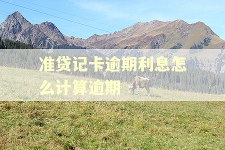 准贷记卡逾期利息怎么计算逾期