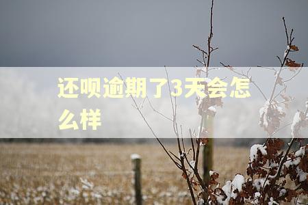 还呗逾期了3天会怎么样