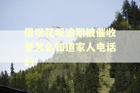 借呗花呗逾期被催收是怎么知道家人电话的