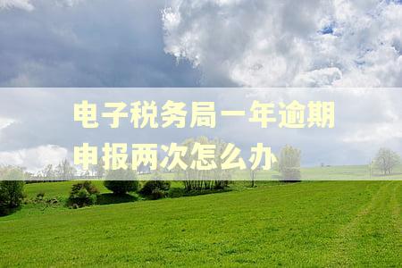 电子税务局一年逾期申报两次怎么办