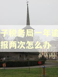 电子税务局一年逾期申报两次怎么办