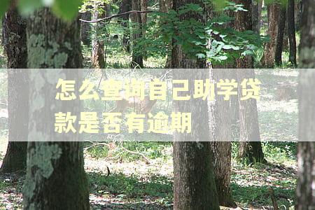 怎么查询自己助学贷款是否有逾期
