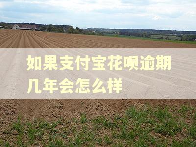 如果支付宝花呗逾期几年会怎么样