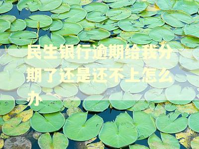 民生银行逾期给我分期了还是还不上怎么办