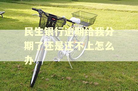 民生银行逾期给我分期了还是还不上怎么办