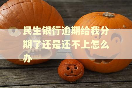 民生银行逾期给我分期了还是还不上怎么办 民生银行逾期给我分期了还是还不上怎么办