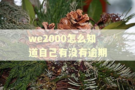 we2000怎么知道自己有没有逾期 we2000怎么知道自己有没有逾期