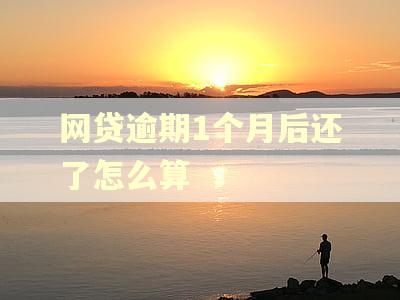 网贷逾期1个月后还了怎么算