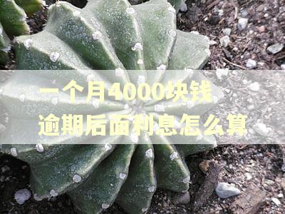 一个月4000块钱逾期后面利息怎么算