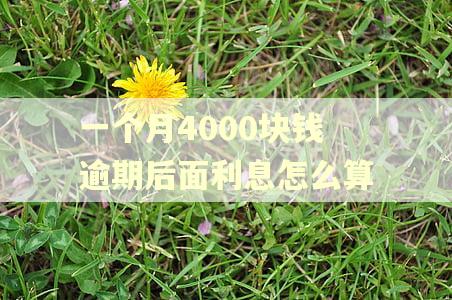 一个月4000块钱逾期后面利息怎么算