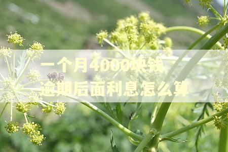 一个月4000块钱逾期后面利息怎么算