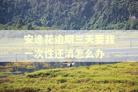 安逸花逾期三天要我一次性还清怎么办