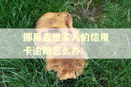 挪用去世家人的信用卡逾期怎么办