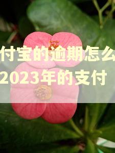 支付宝的逾期怎么清理2023年的支付宝