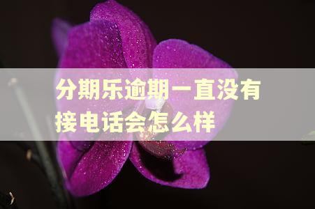 分期乐逾期一直没有接电话会怎么样