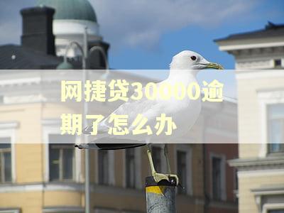 网捷贷30000逾期了怎么办 网捷贷30000逾期了怎么办
