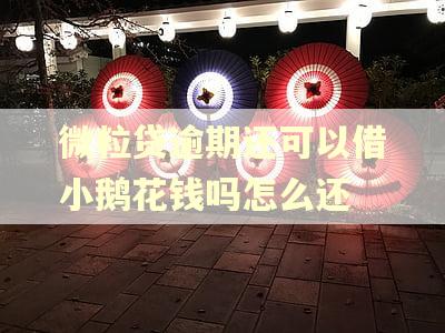 微粒贷逾期还可以借小鹅花钱吗怎么还