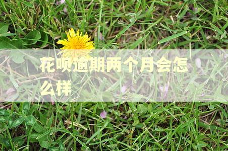 花呗逾期两个月会怎么样