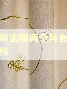 花呗逾期两个月会怎么样