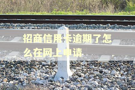 招商信用卡逾期了怎么在网上申请