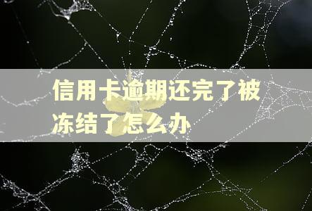 信用卡逾期还完了被冻结了怎么办