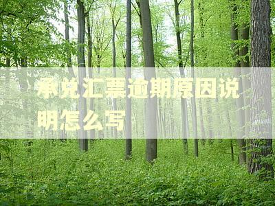 承兑汇票逾期原因说明怎么写