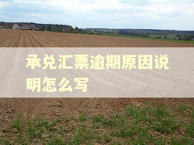 承兑汇票逾期原因说明怎么写 承兑汇票逾期原因说明怎么写