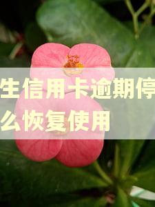 民生信用卡逾期停卡怎么恢复使用