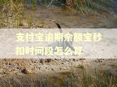 支付宝逾期余额宝秒扣时间段怎么算