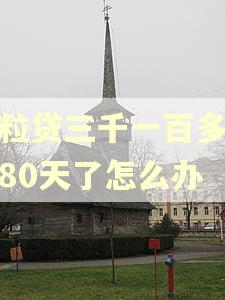 微粒贷三千一百多逾期80天了怎么办