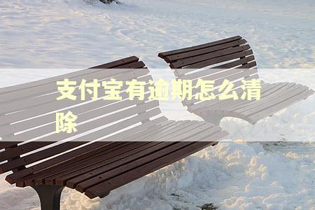 支付宝有逾期怎么清除