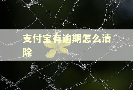 支付宝有逾期怎么清除