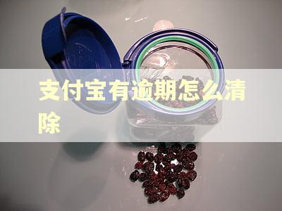 支付宝有逾期怎么清除 支付宝有逾期怎么清除