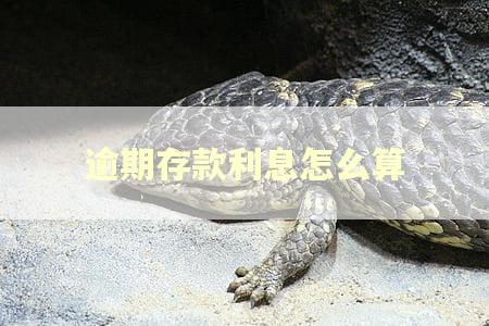 逾期存款利息怎么算