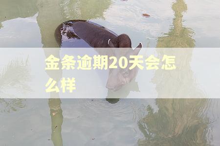 金条逾期20天会怎么样
