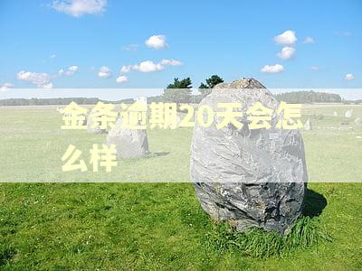 金条逾期20天会怎么样 金条逾期20天会怎么样