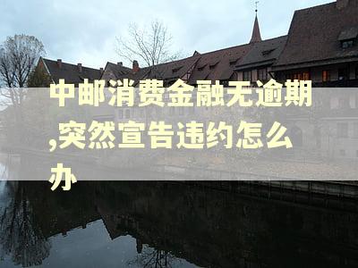 中邮消费金融无逾期,突然宣告违约怎么办