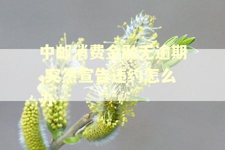 中邮消费金融无逾期,突然宣告违约怎么办