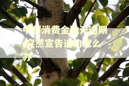 中邮消费金融无逾期,突然宣告违约怎么办