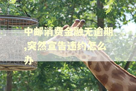 中邮消费金融无逾期,突然宣告违约怎么办