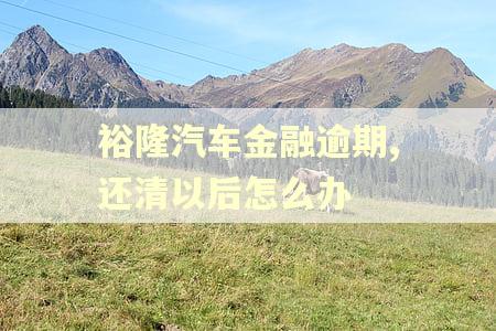 裕隆汽车金融逾期,还清以后怎么办