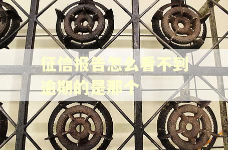 征信报告怎么看不到逾期的是那个