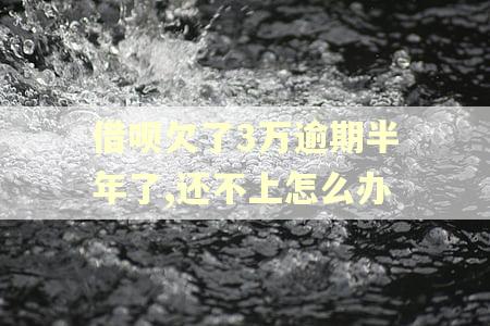 借呗欠了3万逾期半年了,还不上怎么办