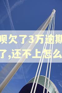 借呗欠了3万逾期半年了,还不上怎么办