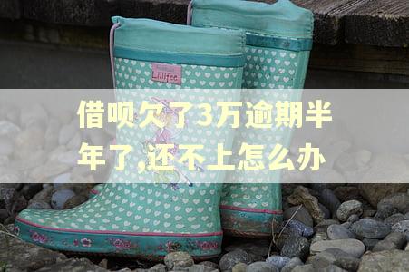 借呗欠了3万逾期半年了,还不上怎么办 借呗欠了3万逾期半年了,还不上怎么办