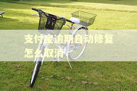 支付宝逾期自动修复怎么取消
