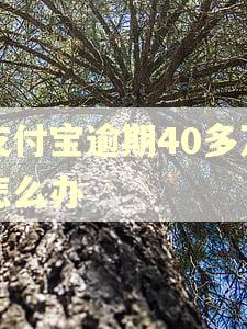 支付宝逾期40多万怎么办